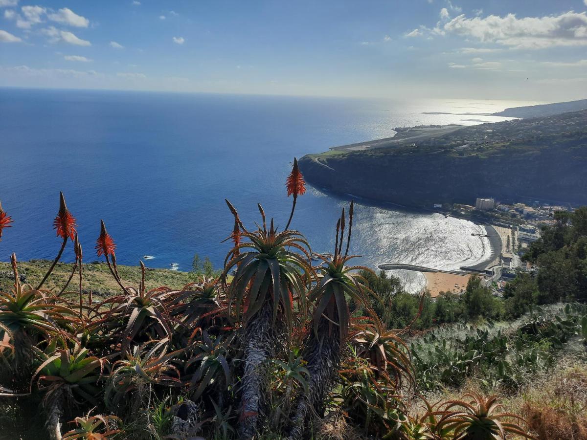 Sunny Beach Machico Apartment By Hr Madeira المظهر الخارجي الصورة